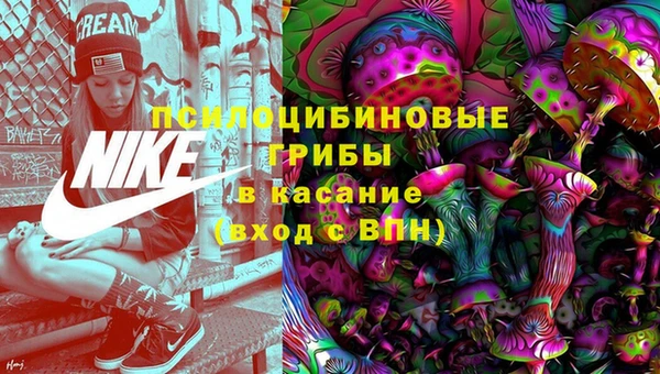 стаф Алексеевка