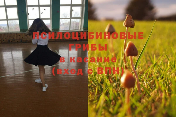 spice Алзамай