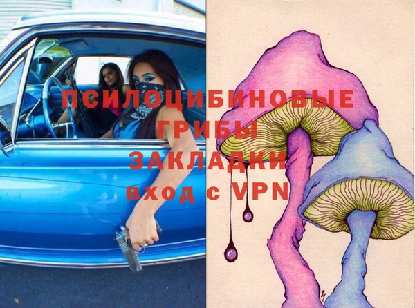 стаф Алексеевка
