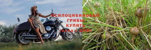 герыч Алексин