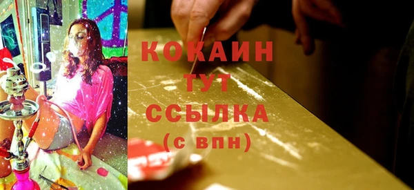 spice Алзамай