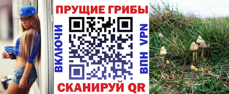 купить закладку Коркино KRAKEN сайт Псилоцибиновые грибы Psilocybe